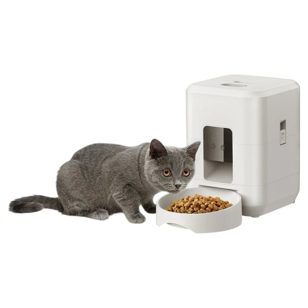 Distributeur Automatique Intelligent de Croquettes pour Chat - WiFi - Aurapet