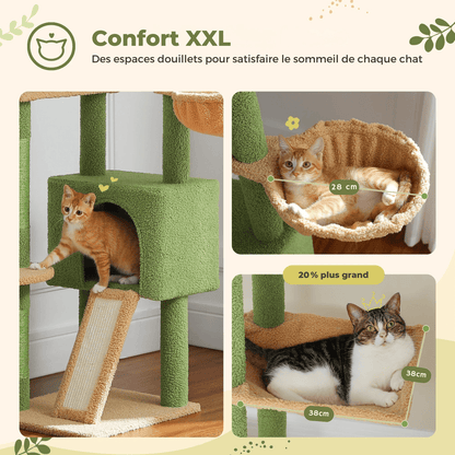 Arbre à Chat Cactus du Sol au Plafond – Tour Ajustable avec Niche, Hamac Douillet et Poteaux à Griffer – Grande Aire de Jeu pour Chats - Aurapet