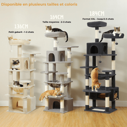 Arbre à Chat Multi - Niveaux pour Grands Chats – 3 Tailles (136, 164, 184 cm) avec Griffoirs en Sisal, Hamac & Niches - Aurapet