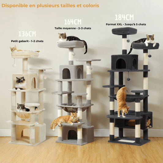 Arbre à Chat Multi - Niveaux pour Grands Chats – 3 Tailles (136, 164, 184 cm) avec Griffoirs en Sisal, Hamac & Niches - Aurapet