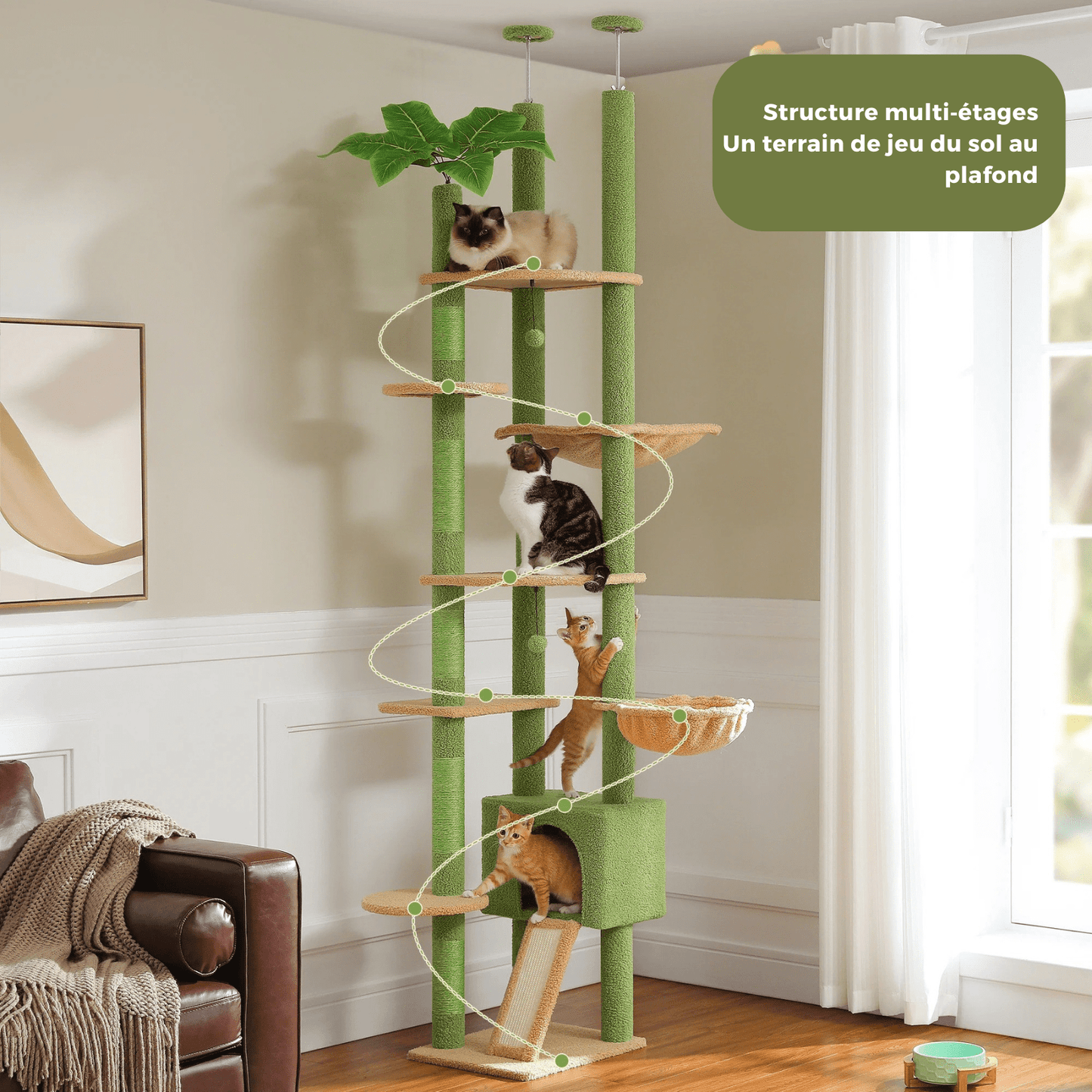 Arbre à Chat Cactus du Sol au Plafond – Tour Ajustable avec Niche, Hamac Douillet et Poteaux à Griffer – Grande Aire de Jeu pour Chats - Aurapet