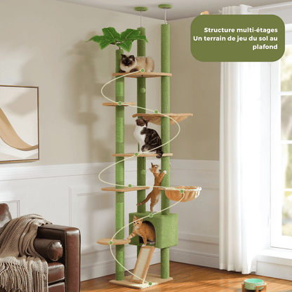 Arbre à Chat Cactus du Sol au Plafond – Tour Ajustable avec Niche, Hamac Douillet et Poteaux à Griffer – Grande Aire de Jeu pour Chats - Aurapet