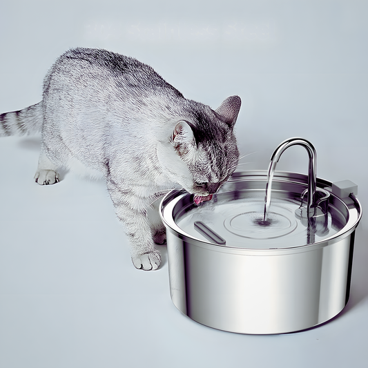 Fontaine à Eau pour Chat en Acier Inoxydable 3.2L | Filtration Avancée & Ultra-Silencieuse
